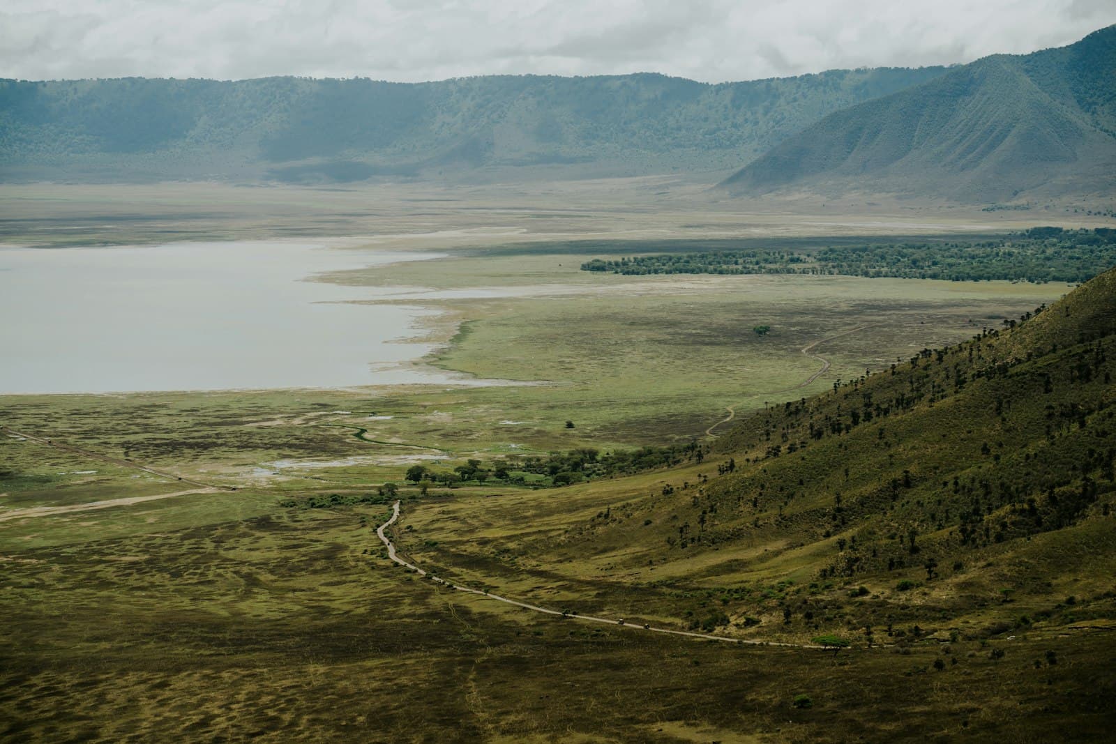 Ngorongoro CA